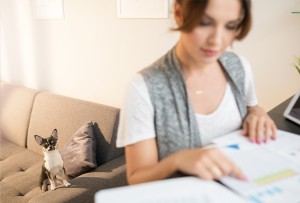 Woman with dog going over finance sheets
